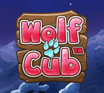 Wooden plate with pink 'wolf cub' sign and wolf paw, on dark blue winter night background